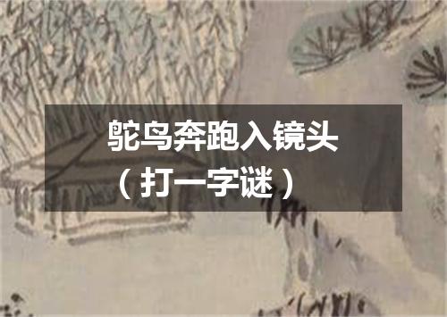 鸵鸟奔跑入镜头（打一字谜）