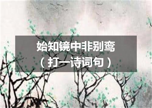 始知镜中非别鸾（打一诗词句）