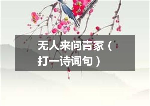 无人来问青冢（打一诗词句）