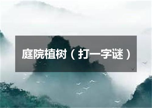 庭院植树（打一字谜）