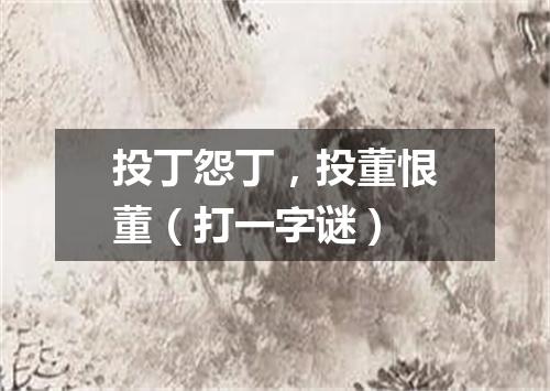 投丁怨丁，投董恨董（打一字谜）