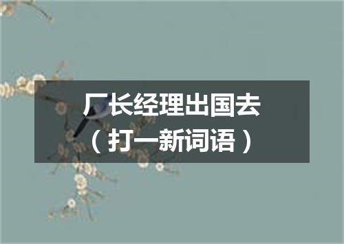 厂长经理出国去（打一新词语）