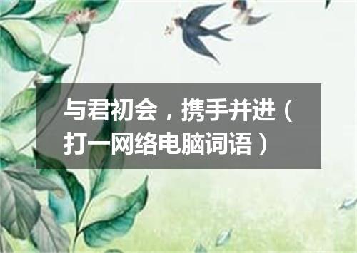 与君初会，携手并进（打一网络电脑词语）