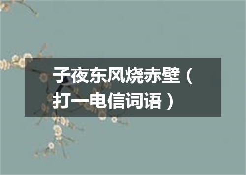 子夜东风烧赤壁（打一电信词语）