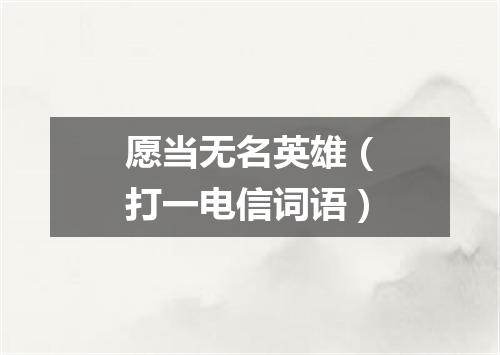 愿当无名英雄（打一电信词语）