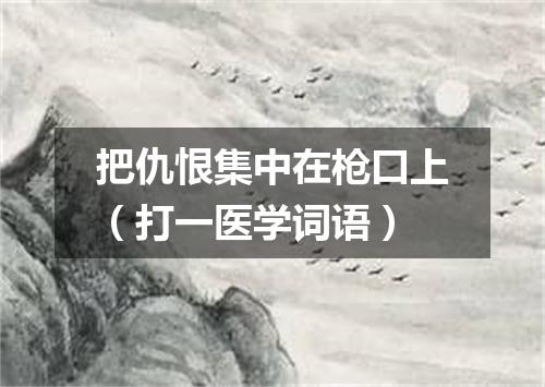 把仇恨集中在枪口上（打一医学词语）