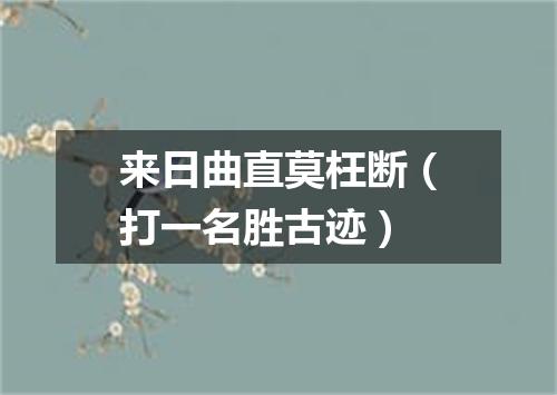 来日曲直莫枉断（打一名胜古迹）