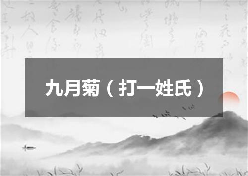 九月菊（打一姓氏）