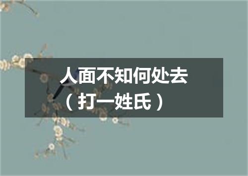 人面不知何处去（打一姓氏）