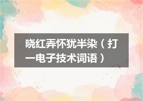 晓红弄怀犹半染（打一电子技术词语）