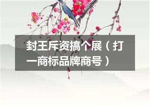 封王斥资搞个展（打一商标品牌商号）