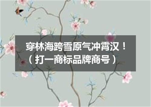 穿林海跨雪原气冲霄汉！（打一商标品牌商号）