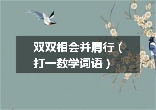 双双相会并肩行（打一数学词语）