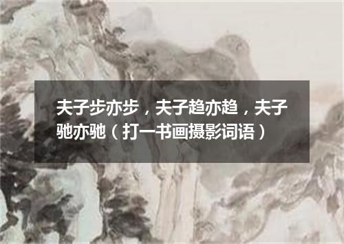 夫子步亦步，夫子趋亦趋，夫子驰亦驰（打一书画摄影词语）