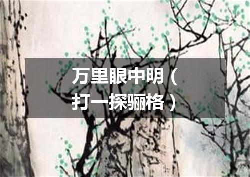 万里眼中明（打一探骊格）