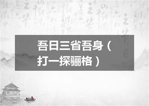 吾日三省吾身（打一探骊格）