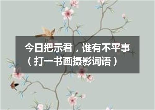 今日把示君，谁有不平事（打一书画摄影词语）