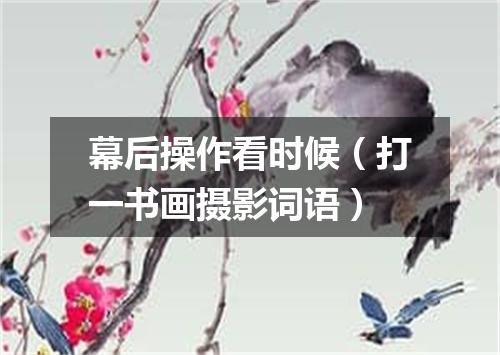 幕后操作看时候（打一书画摄影词语）