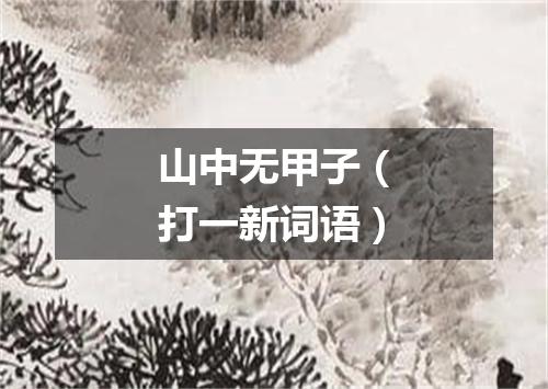 山中无甲子（打一新词语）