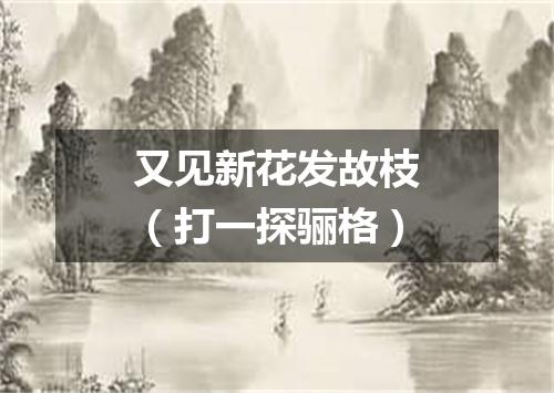 又见新花发故枝（打一探骊格）