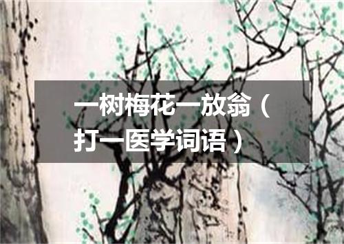 一树梅花一放翁（打一医学词语）