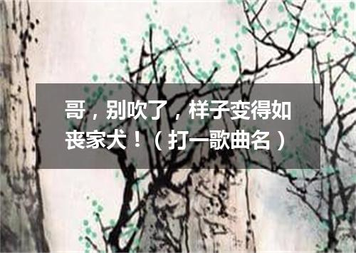 哥，别吹了，样子变得如丧家犬！（打一歌曲名）