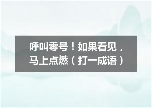 呼叫零号！如果看见，马上点燃（打一成语）