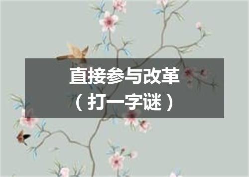 直接参与改革（打一字谜）