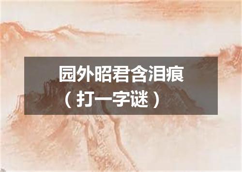 园外昭君含泪痕（打一字谜）