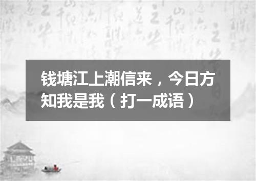 钱塘江上潮信来，今日方知我是我（打一成语）