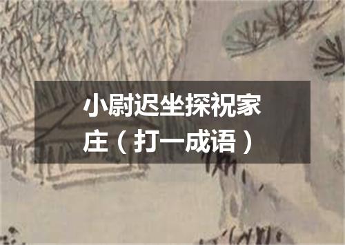 小尉迟坐探祝家庄（打一成语）