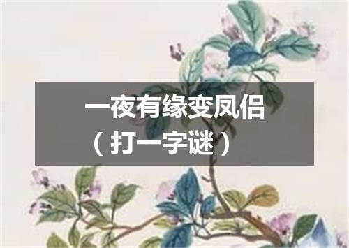 一夜有缘变凤侣（打一字谜）