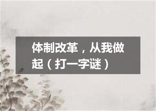 体制改革，从我做起（打一字谜）