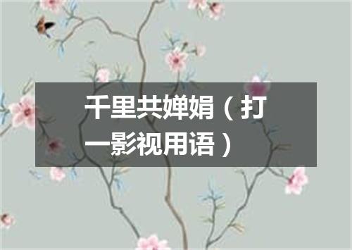 千里共婵娟（打一影视用语）