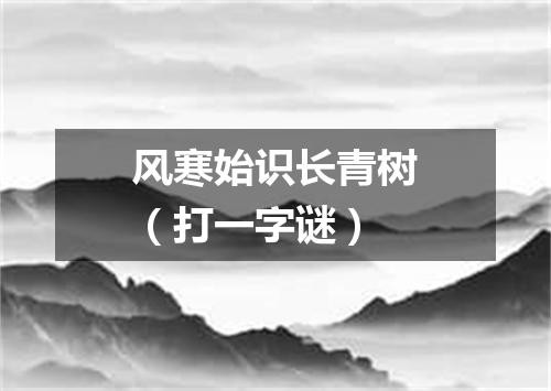 风寒始识长青树（打一字谜）