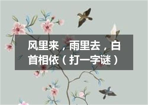 风里来，雨里去，白首相依（打一字谜）