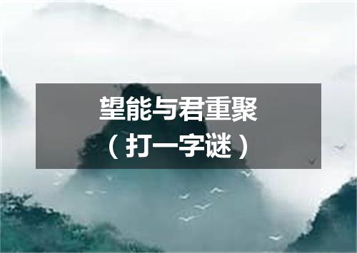 望能与君重聚（打一字谜）