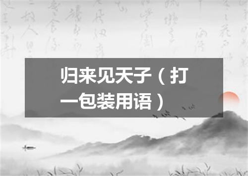 归来见天子（打一包装用语）