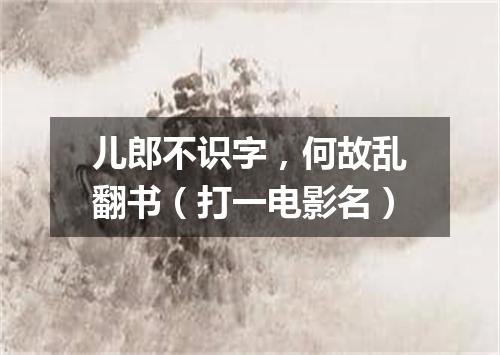 儿郎不识字，何故乱翻书（打一电影名）