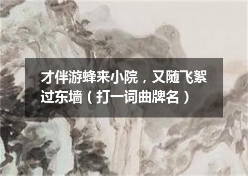 才伴游蜂来小院，又随飞絮过东墙（打一词曲牌名）