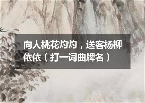 向人桃花灼灼，送客杨柳依依（打一词曲牌名）