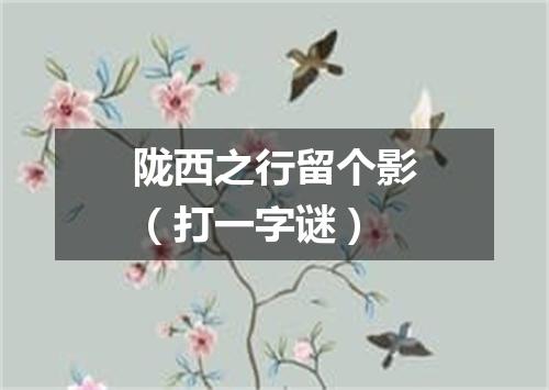 陇西之行留个影（打一字谜）