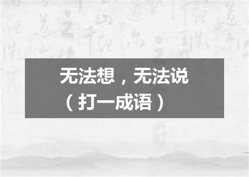 无法想，无法说（打一成语）