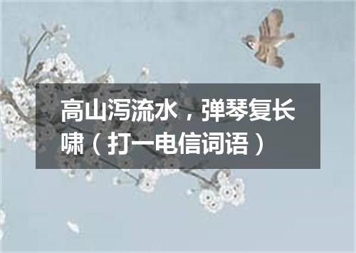 高山泻流水，弹琴复长啸（打一电信词语）