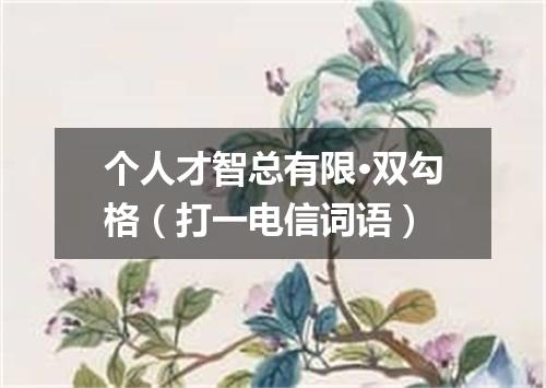 个人才智总有限·双勾格（打一电信词语）