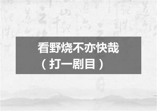 看野烧不亦快哉（打一剧目）