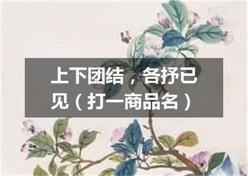 上下团结，各抒已见（打一商品名）