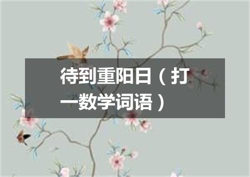 待到重阳日（打一数学词语）