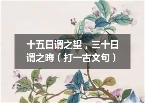 十五日谓之望，三十日谓之晦（打一古文句）