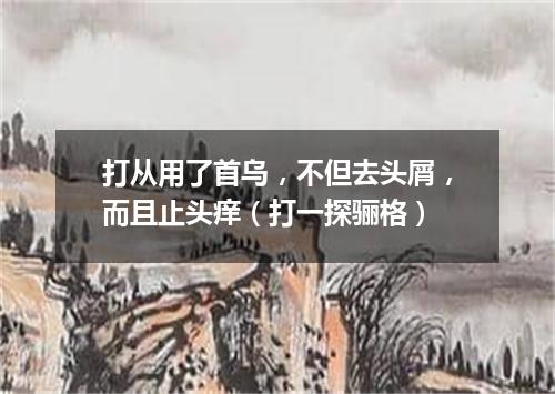 打从用了首乌，不但去头屑，而且止头痒（打一探骊格）